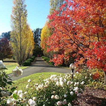 Melview Greens Orange Exterior photo