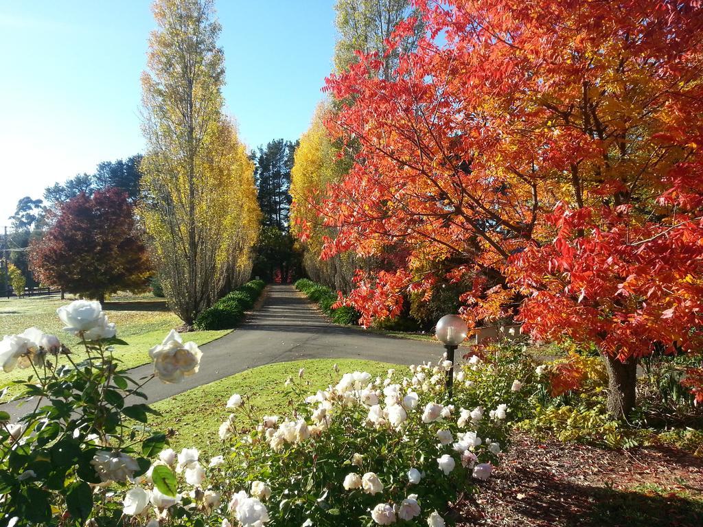 Melview Greens Orange Exterior photo